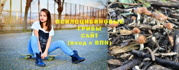 PSILOCYBIN Каменск-Шахтинский