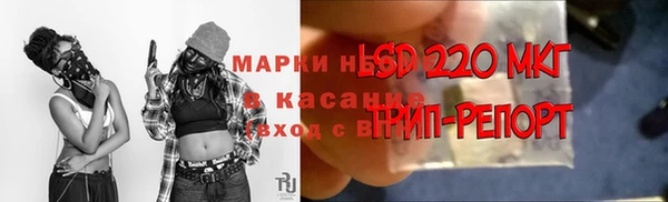 ALPHA PVP Каменка