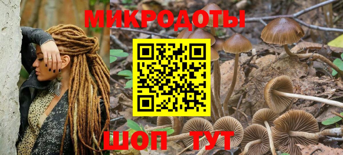 Галлюциногенные грибы Magic Shrooms Кемерово