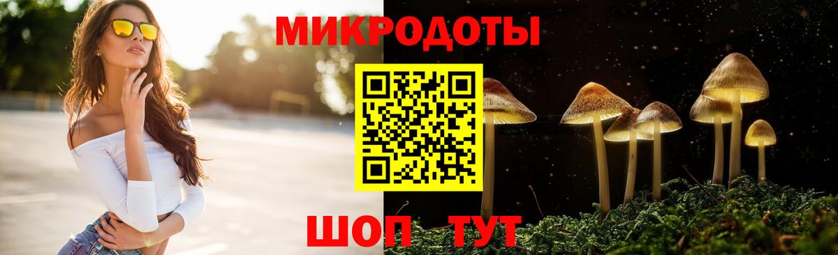 Кемерово  Псилоцибиновые грибы прущие грибы  Псилоцибиновые грибы мухоморы  Вход с VPN 